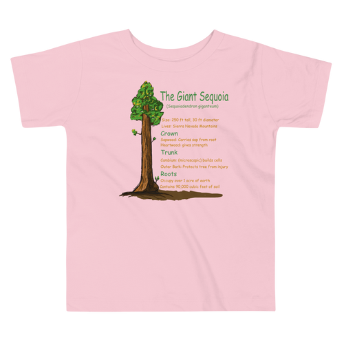 Toddler Short Sleeve Tee/ The Giant Sequoia