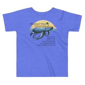 Toddler Short Sleeve Tee/The Humpback Whale