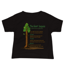 Load image into Gallery viewer, Baby Jersey Short Sleeve Tee/The Giant Sequoia