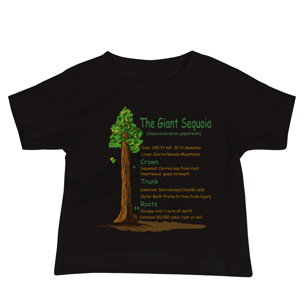 Baby Jersey Short Sleeve Tee/The Giant Sequoia