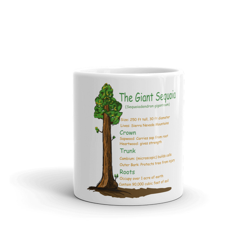 Mug/Giant Sequoia