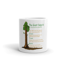 Load image into Gallery viewer, Mug/Giant Sequoia