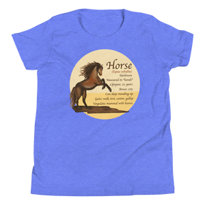 Youth Short Sleeve T-Shirt/Horse