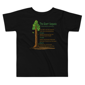 Toddler Short Sleeve Tee/ The Giant Sequoia
