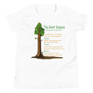 Youth Short Sleeve T-Shirt/The Giant Sequoia